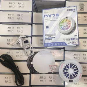 DY29结冰数显 DY29 - 图片 2